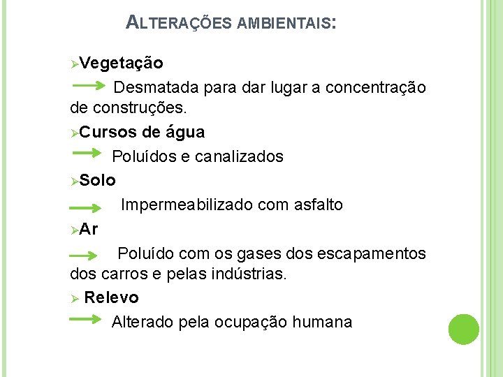 ALTERAÇÕES AMBIENTAIS: ØVegetação Desmatada para dar lugar a concentração de construções. ØCursos de água