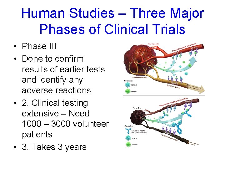 Human Studies – Three Major Phases of Clinical Trials • Phase III • Done