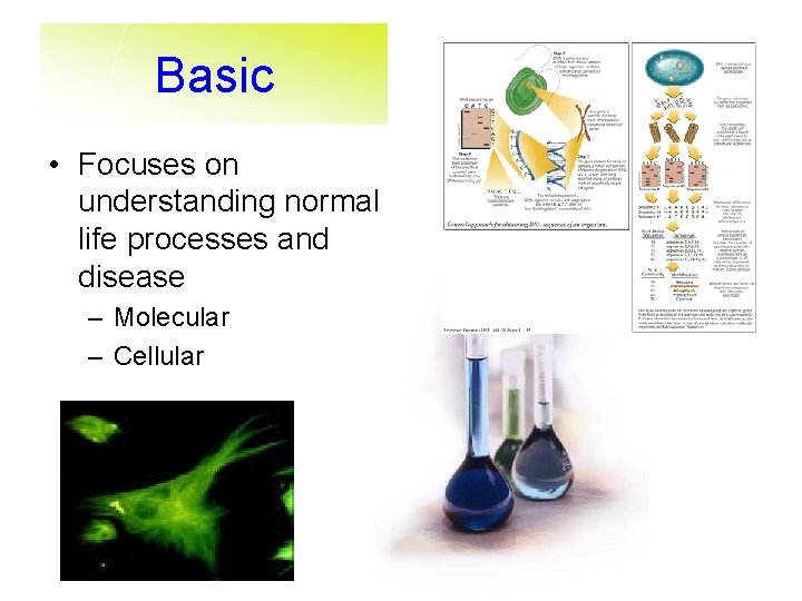 Basic • Focuses on understanding normal life processes and disease – Molecular – Cellular