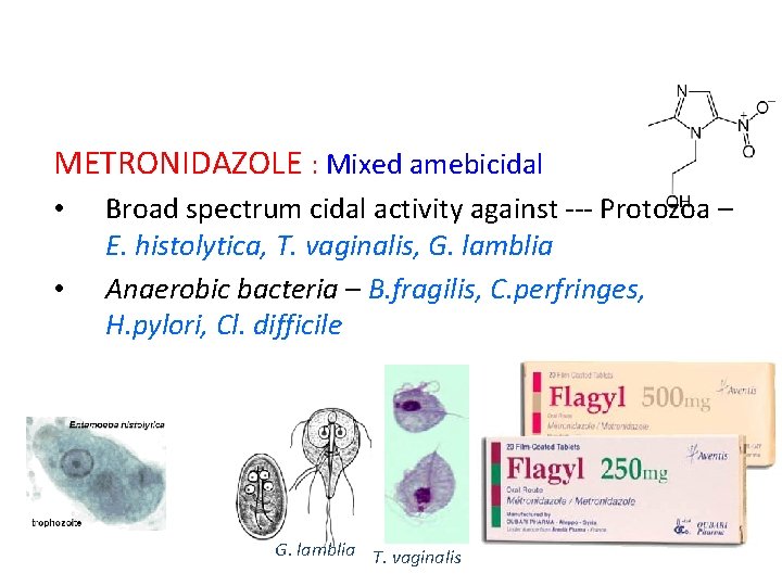 METRONIDAZOLE : Mixed amebicidal • • Broad spectrum cidal activity against --- Protozoa –