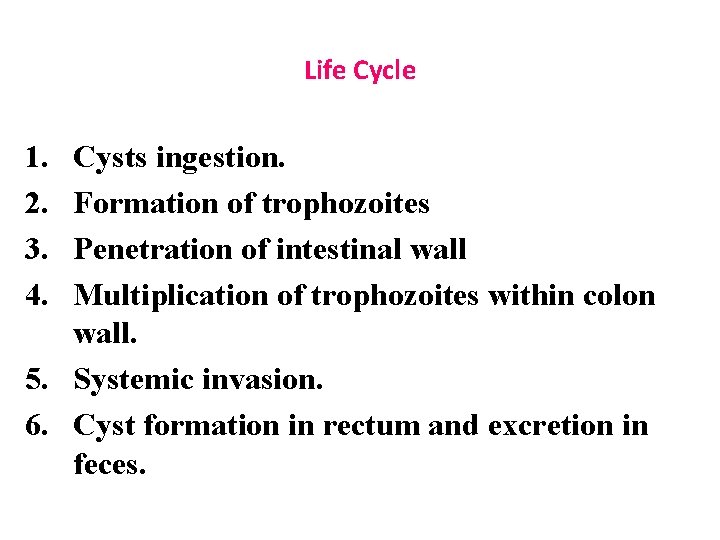 Life Cycle 1. 2. 3. 4. Cysts ingestion. Formation of trophozoites Penetration of intestinal