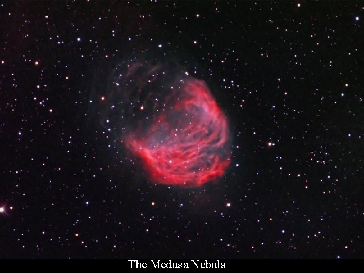The Medusa Nebula 