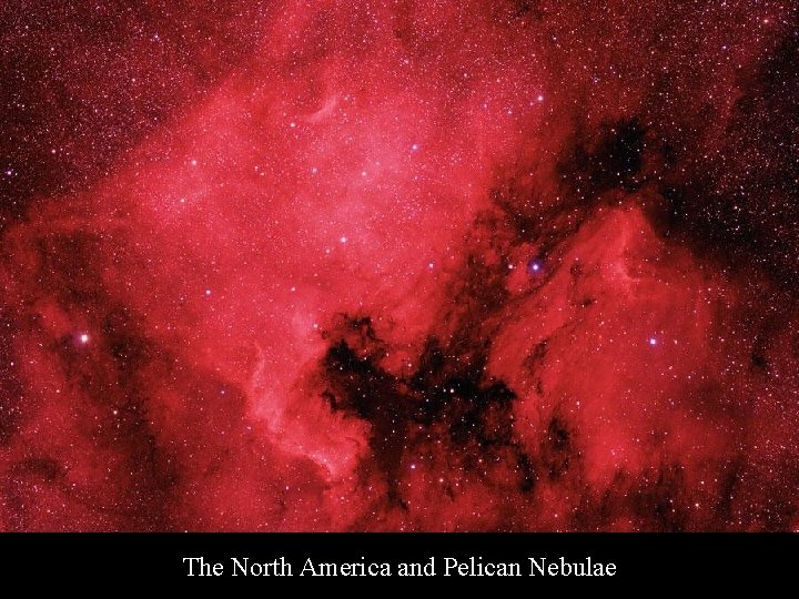 The North America and Pelican Nebulae 