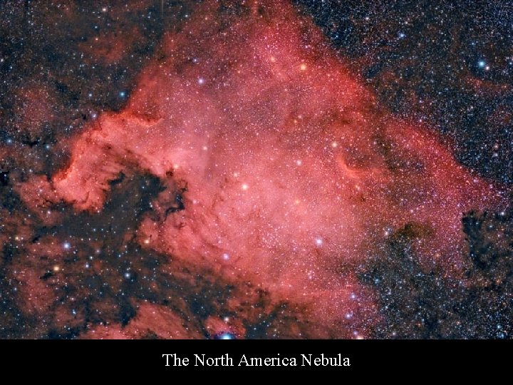The North America Nebula 