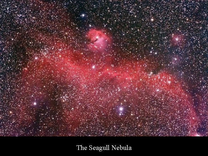 The Seagull Nebula 