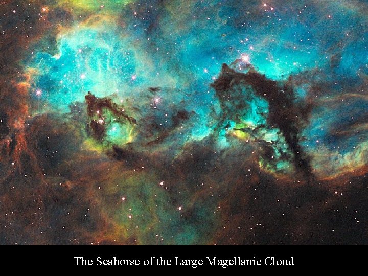 The Seahorse of the Large Magellanic Cloud 