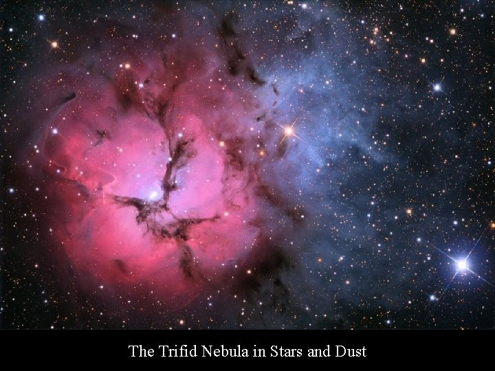 The Trifid Nebula in Stars and Dust 
