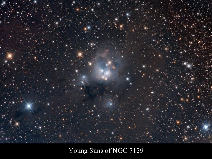 Young Suns of NGC 7129 