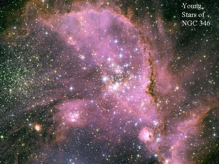 Young Stars of NGC 346 