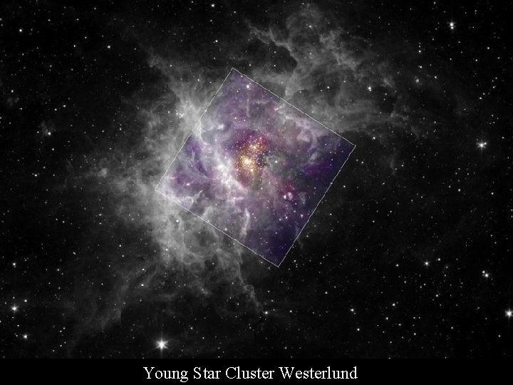 Young Star Cluster Westerlund 2 