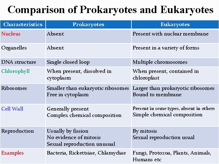 Comparison of Prokaryotes and Eukaryotes Characteristics Prokaryotes Eukaryotes Nucleus Absent Present with nuclear membrane