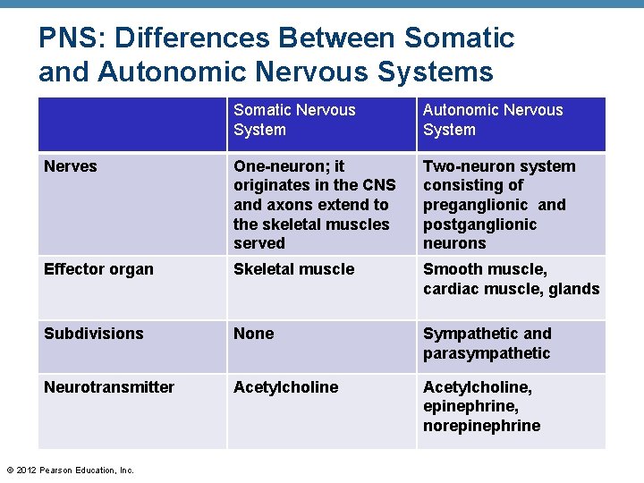 PNS: Differences Between Somatic and Autonomic Nervous Systems Somatic Nervous System Autonomic Nervous System