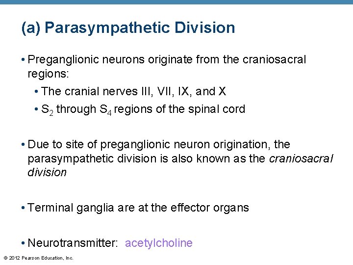 (a) Parasympathetic Division • Preganglionic neurons originate from the craniosacral regions: • The cranial