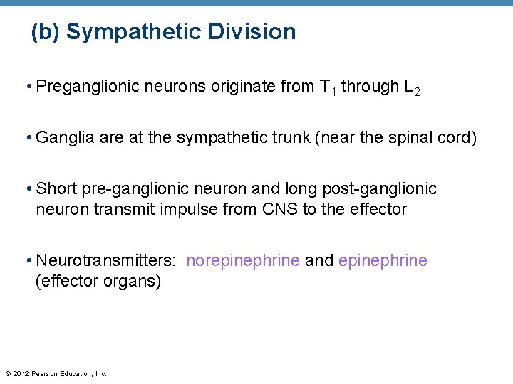 (b) Sympathetic Division • Preganglionic neurons originate from T 1 through L 2 •