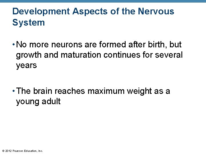 Development Aspects of the Nervous System • No more neurons are formed after birth,