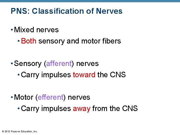 PNS: Classification of Nerves • Mixed nerves • Both sensory and motor fibers •