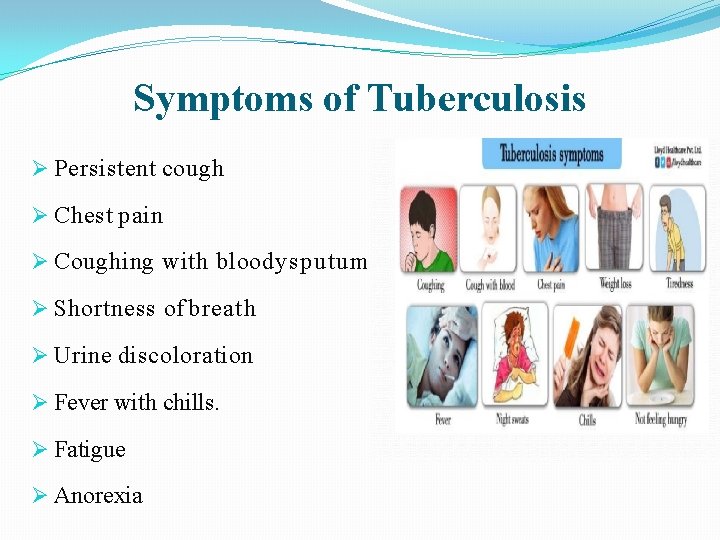 Symptoms of Tuberculosis Persistent cough Chest pain Coughing with bloody sputum Shortness of breath