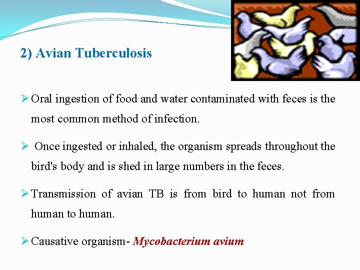 2) Avian Tuberculosis Oral ingestion of food and water contaminated with feces is the