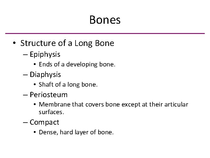 Bones • Structure of a Long Bone – Epiphysis • Ends of a developing