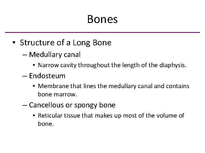 Bones • Structure of a Long Bone – Medullary canal • Narrow cavity throughout