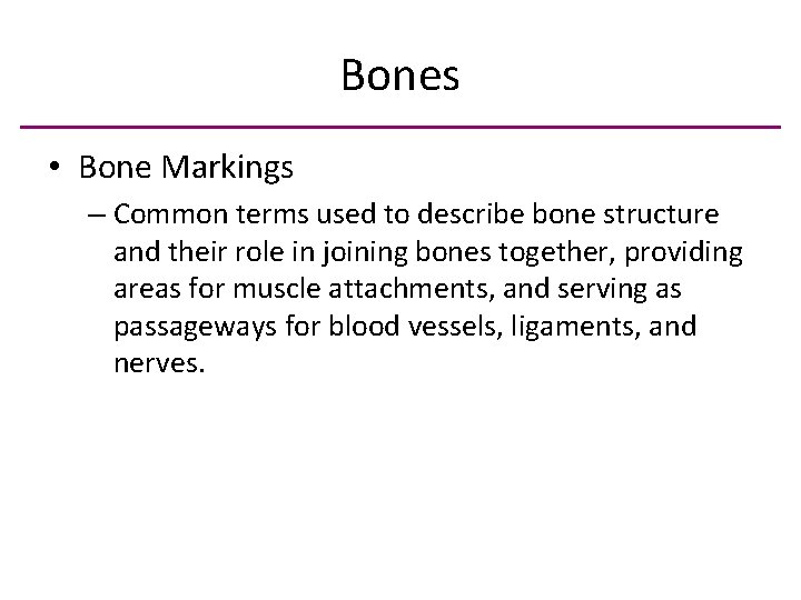 Bones • Bone Markings – Common terms used to describe bone structure and their