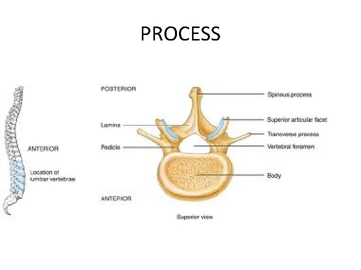 PROCESS 