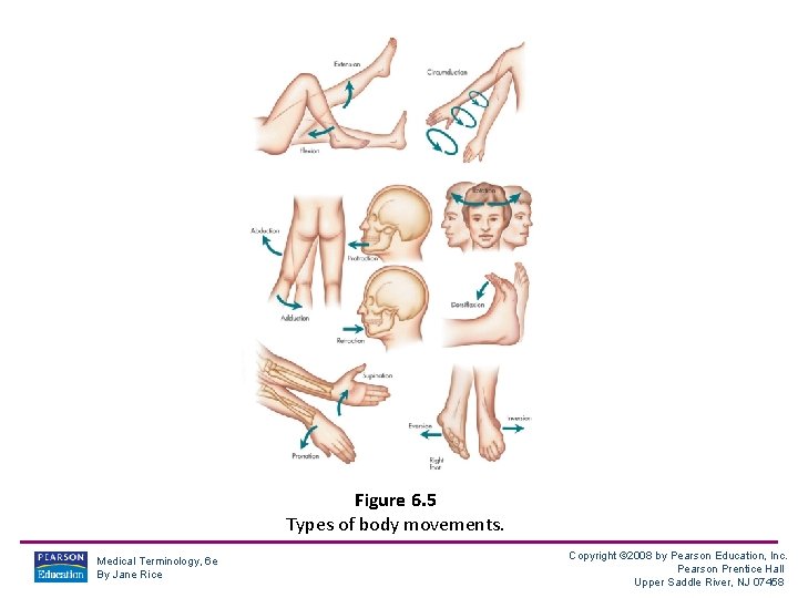 Figure 6. 5 Types of body movements. Medical Terminology, 6 e By Jane Rice