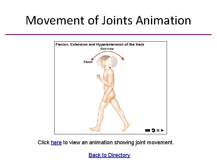 Movement of Joints Animation Click here to view an animation showing joint movement. Back