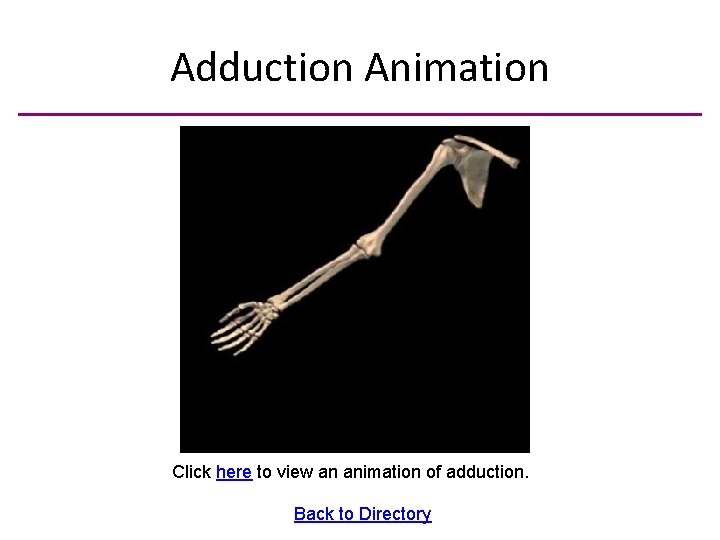 Adduction Animation Click here to view an animation of adduction. Back to Directory 