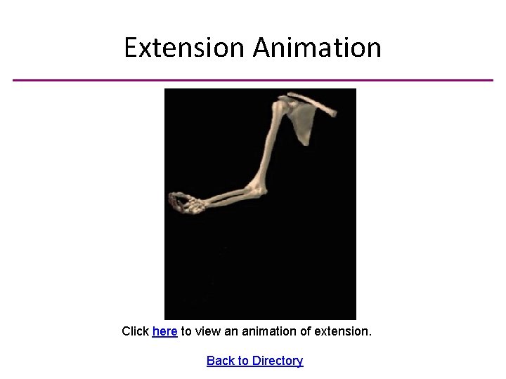 Extension Animation Click here to view an animation of extension. Back to Directory 