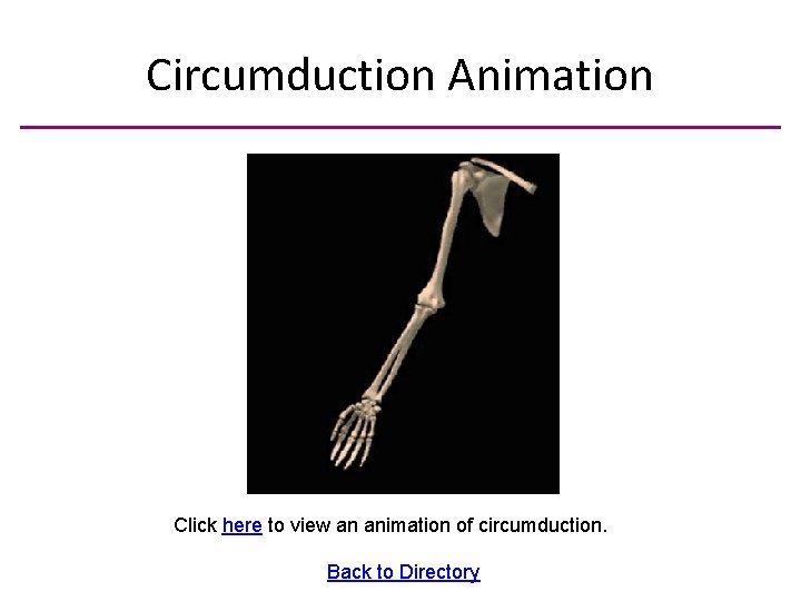 Circumduction Animation Click here to view an animation of circumduction. Back to Directory 