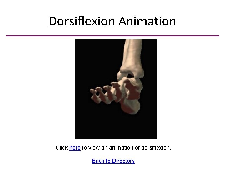Dorsiflexion Animation Click here to view an animation of dorsiflexion. Back to Directory 