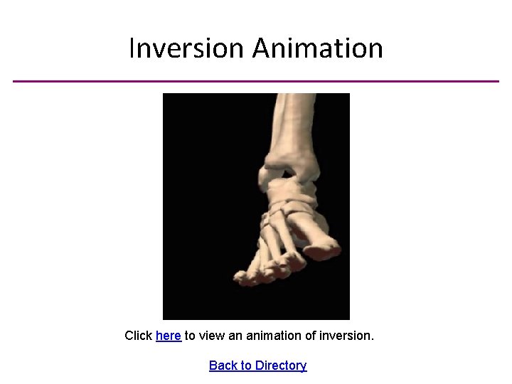 Inversion Animation Click here to view an animation of inversion. Back to Directory 