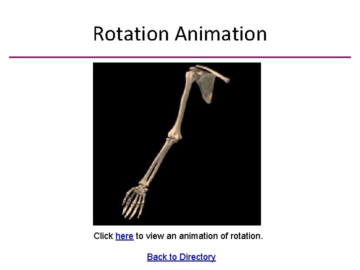 Rotation Animation Click here to view an animation of rotation. Back to Directory 