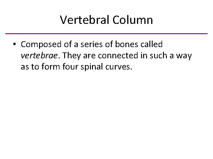 Vertebral Column • Composed of a series of bones called vertebrae. They are connected