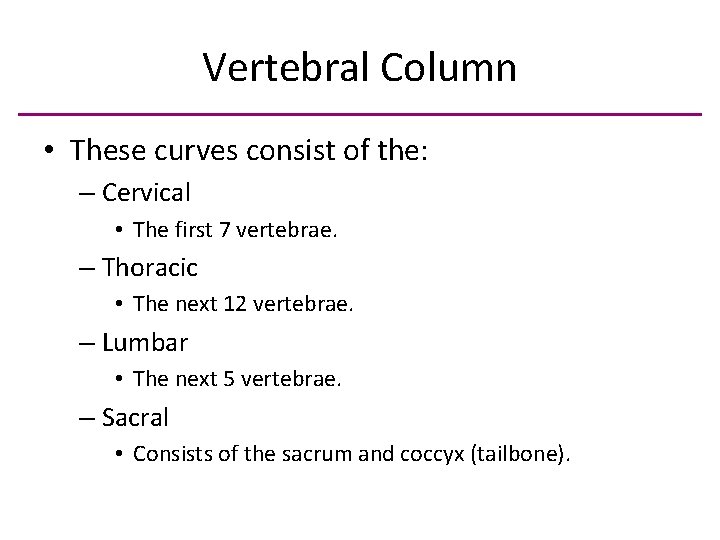 Vertebral Column • These curves consist of the: – Cervical • The first 7