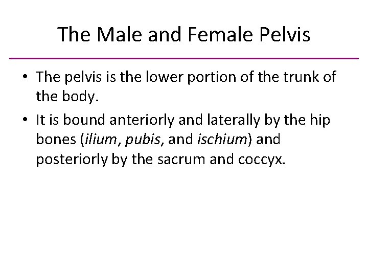 The Male and Female Pelvis • The pelvis is the lower portion of the