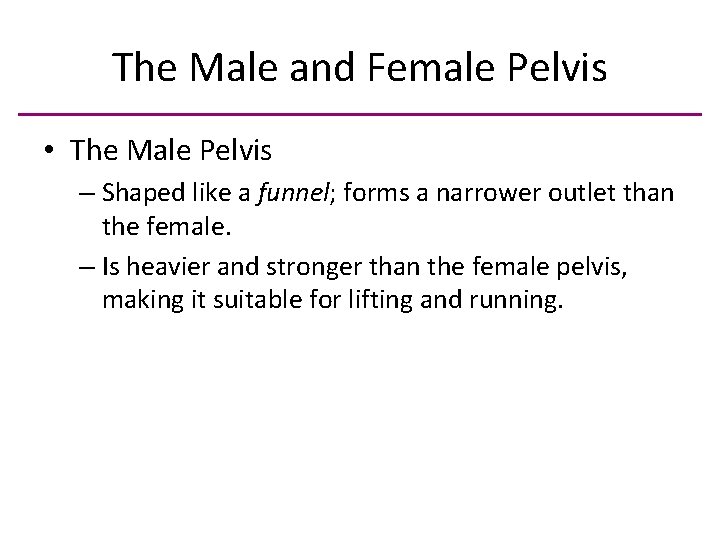 The Male and Female Pelvis • The Male Pelvis – Shaped like a funnel;