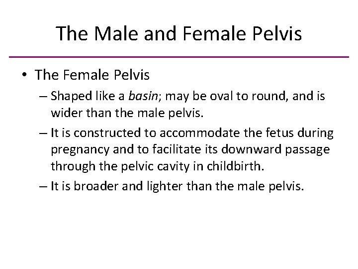 The Male and Female Pelvis • The Female Pelvis – Shaped like a basin;