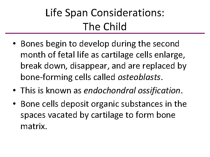 Life Span Considerations: The Child • Bones begin to develop during the second month