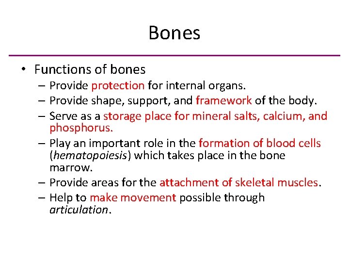 Bones • Functions of bones – Provide protection for internal organs. – Provide shape,