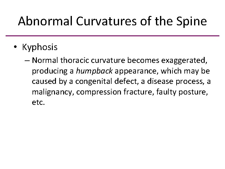 Abnormal Curvatures of the Spine • Kyphosis – Normal thoracic curvature becomes exaggerated, producing