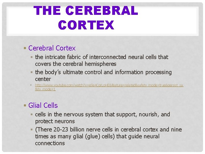 THE CEREBRAL CORTEX § Cerebral Cortex § the intricate fabric of interconnected neural cells