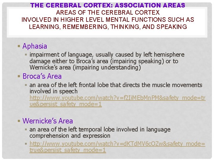THE CEREBRAL CORTEX: ASSOCIATION AREAS OF THE CEREBRAL CORTEX INVOLVED IN HIGHER LEVEL MENTAL