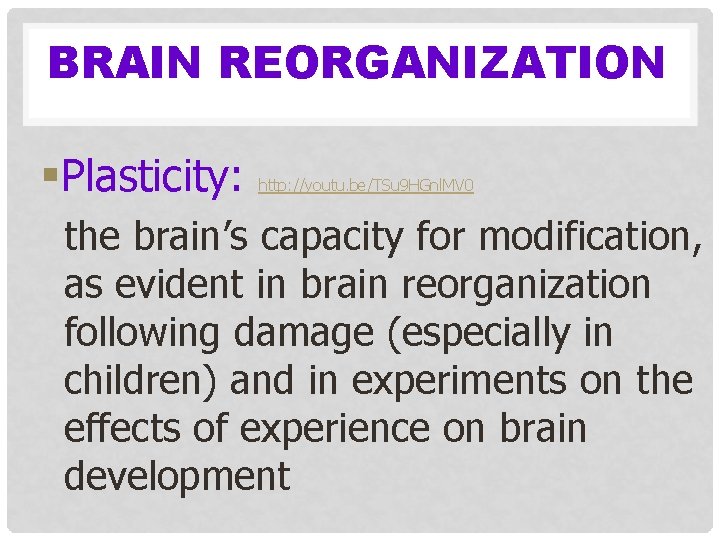 BRAIN REORGANIZATION §Plasticity: http: //youtu. be/TSu 9 HGnl. MV 0 the brain’s capacity for