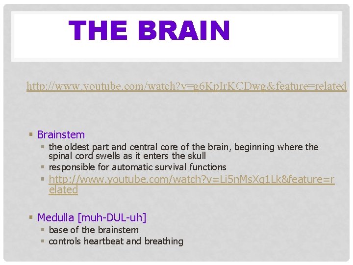 THE BRAIN http: //www. youtube. com/watch? v=g 6 Kp. Ir. KCDwg&feature=related § Brainstem §