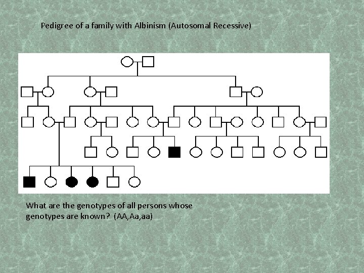 Pedigree of a family with Albinism (Autosomal Recessive) What are the genotypes of all