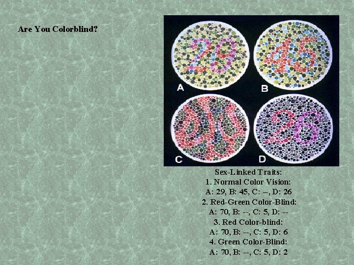 Are You Colorblind? Sex-Linked Traits: 1. Normal Color Vision: A: 29, B: 45, C: