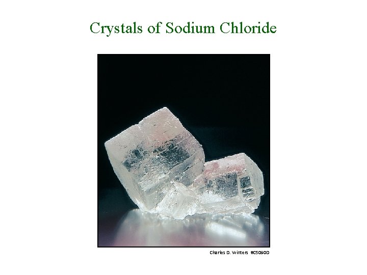 Crystals of Sodium Chloride Charles D. Winters #C 5090 D 