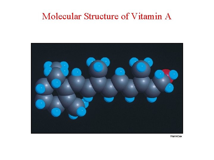 Molecular Structure of Vitamin A Frank Cox 